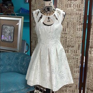 Betsy Johnson Fit and Flare Ivory and Silver